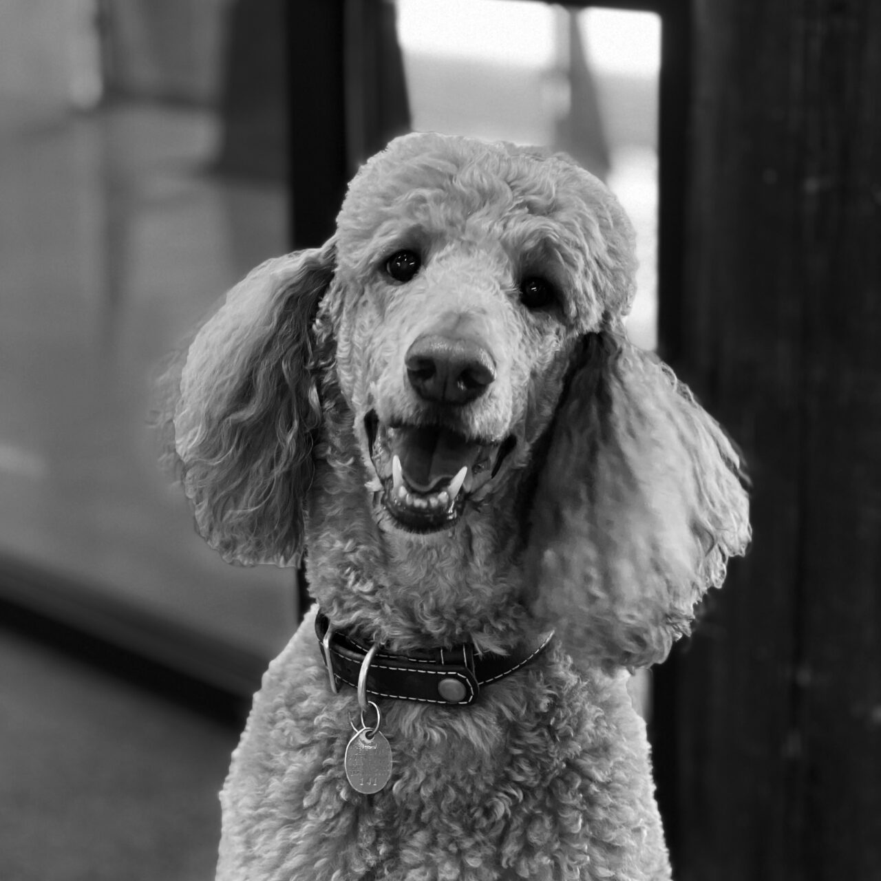 home - Elevar Design Group