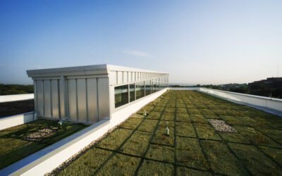Building For the Future: Why Sustainable Architecture Matters More Than Ever